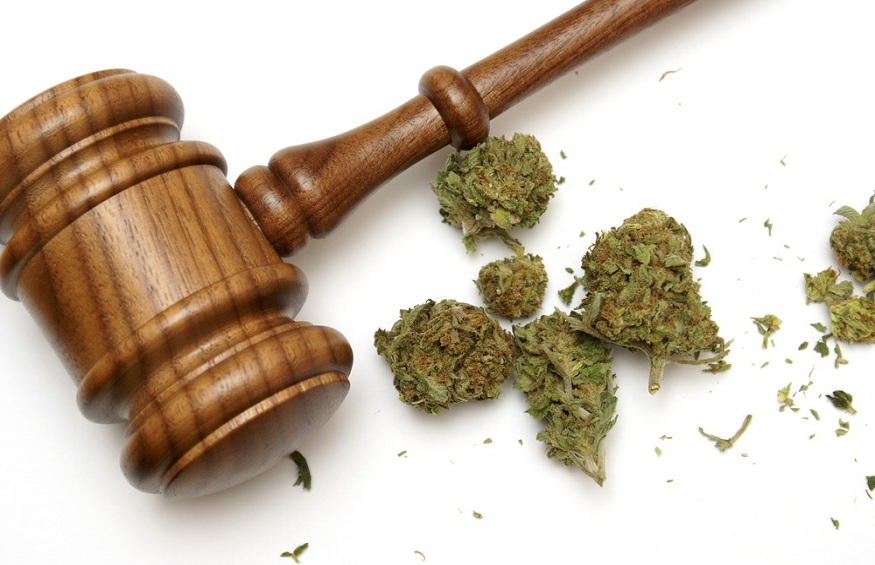 Cannabis Legalization Talks